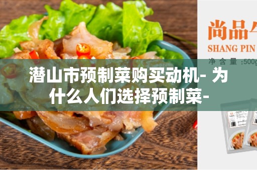 潜山市预制菜购买动机- 为什么人们选择预制菜-