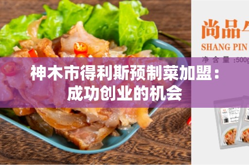 神木市得利斯预制菜加盟：成功创业的机会
