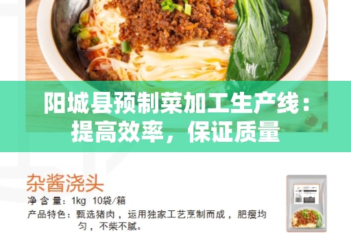 阳城县预制菜加工生产线：提高效率，保证质量