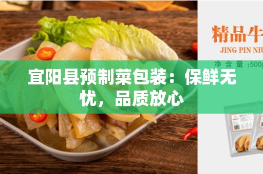 宜阳县预制菜包装：保鲜无忧，品质放心