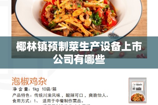 椰林镇预制菜生产设备上市公司有哪些
