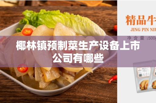 椰林镇预制菜生产设备上市公司有哪些