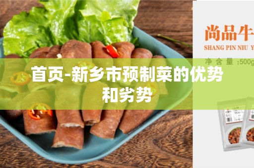 首页-新乡市预制菜的优势和劣势