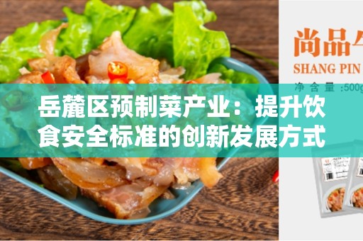 岳麓区预制菜产业：提升饮食安全标准的创新发展方式