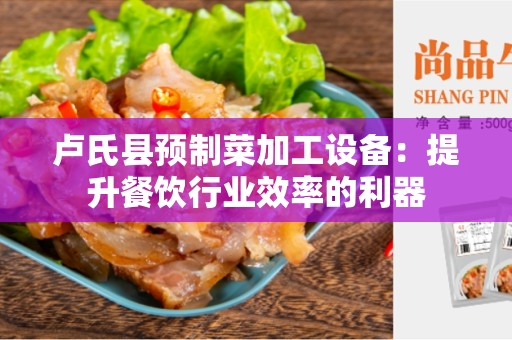 卢氏县预制菜加工设备：提升餐饮行业效率的利器
