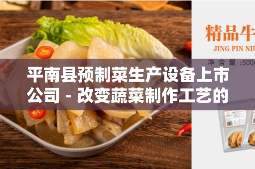 平南县预制菜生产设备上市公司 - 改变蔬菜制作工艺的革命性公司