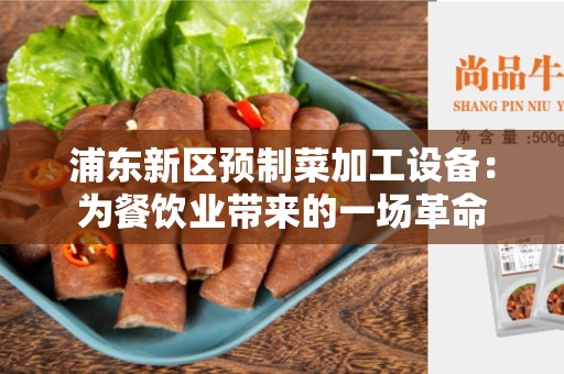 浦东新区预制菜加工设备：为餐饮业带来的一场革命