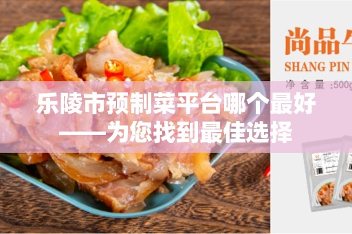 乐陵市预制菜平台哪个最好——为您找到最佳选择