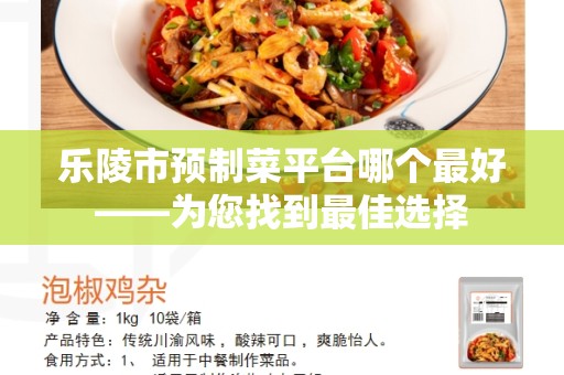 乐陵市预制菜平台哪个最好——为您找到最佳选择