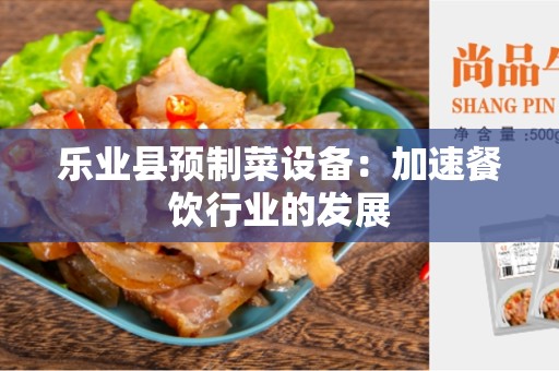 乐业县预制菜设备：加速餐饮行业的发展
