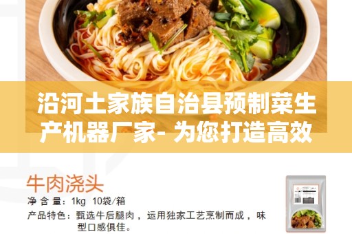 沿河土家族自治县预制菜生产机器厂家- 为您打造高效生产线的选择