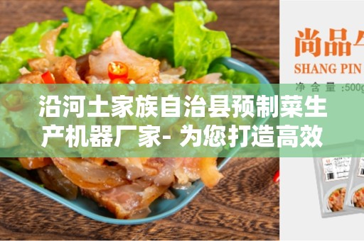 沿河土家族自治县预制菜生产机器厂家- 为您打造高效生产线的选择