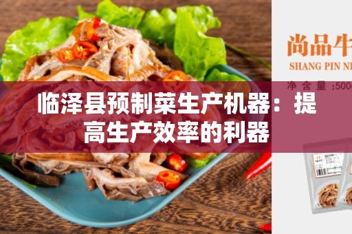 临泽县预制菜生产机器：提高生产效率的利器