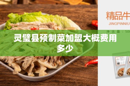 灵璧县预制菜加盟大概费用多少