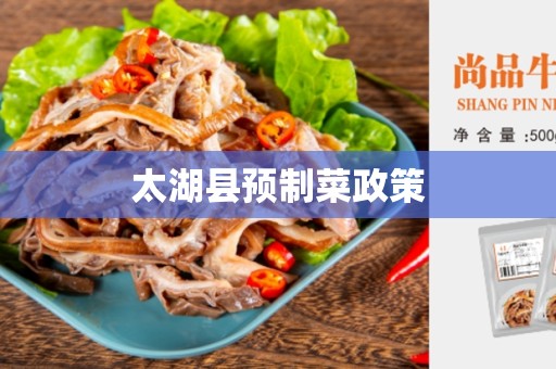 太湖县预制菜政策