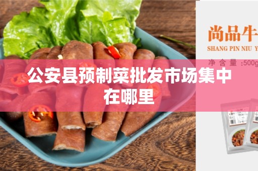 公安县预制菜批发市场集中在哪里