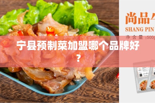宁县预制菜加盟哪个品牌好？
