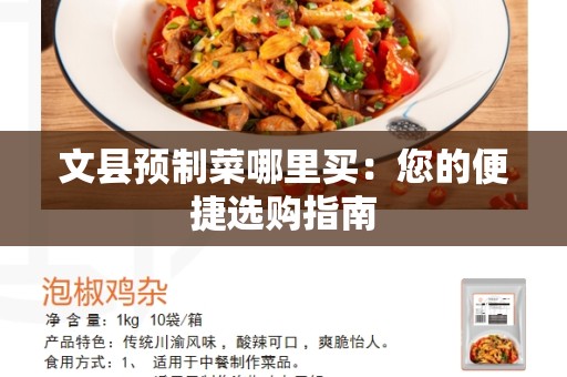 文县预制菜哪里买：您的便捷选购指南
