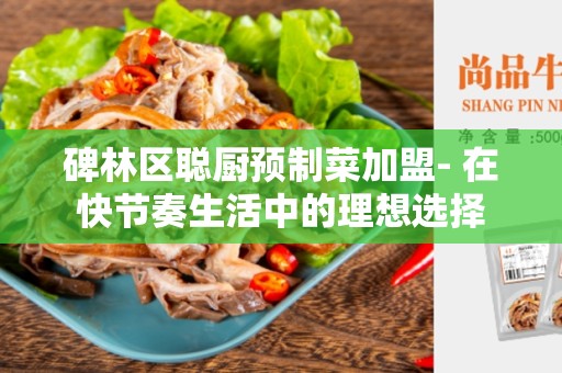 碑林区聪厨预制菜加盟- 在快节奏生活中的理想选择