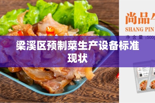 梁溪区预制菜生产设备标准现状
