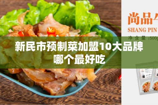 新民市预制菜加盟10大品牌哪个最好吃