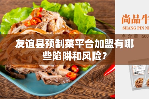 友谊县预制菜平台加盟有哪些陷阱和风险？