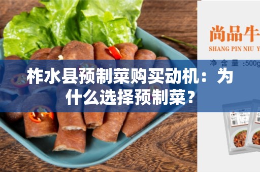 柞水县预制菜购买动机：为什么选择预制菜？