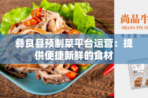 彝良县预制菜平台运营：提供便捷新鲜的食材