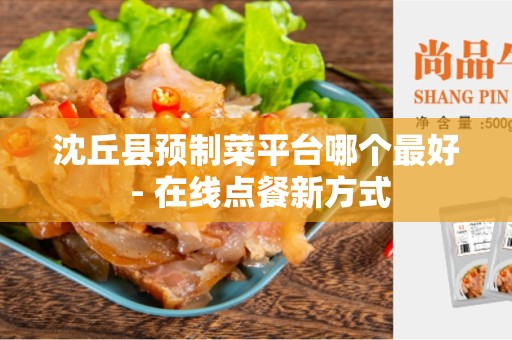 沈丘县预制菜平台哪个最好 - 在线点餐新方式