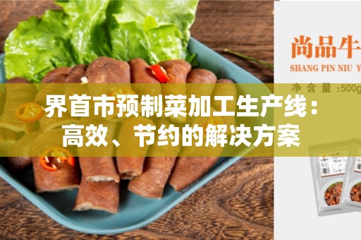 界首市预制菜加工生产线：高效、节约的解决方案