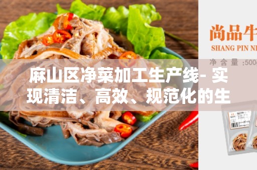 麻山区净菜加工生产线- 实现清洁、高效、规范化的生产