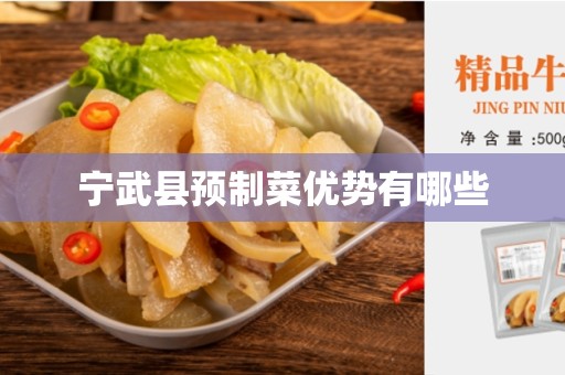 宁武县预制菜优势有哪些