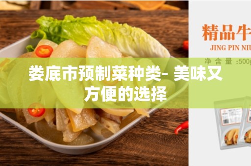 娄底市预制菜种类- 美味又方便的选择
