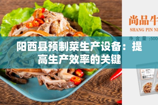 阳西县预制菜生产设备：提高生产效率的关键
