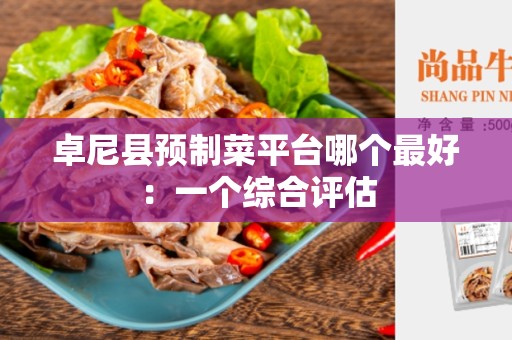 卓尼县预制菜平台哪个最好：一个综合评估