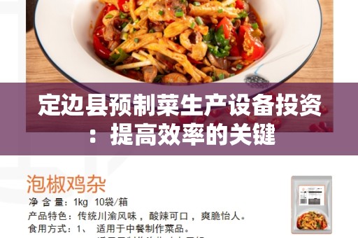 定边县预制菜生产设备投资：提高效率的关键