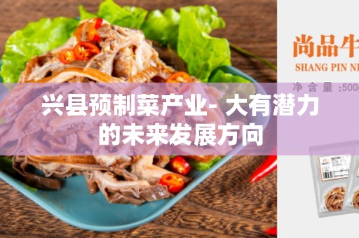 兴县预制菜产业- 大有潜力的未来发展方向