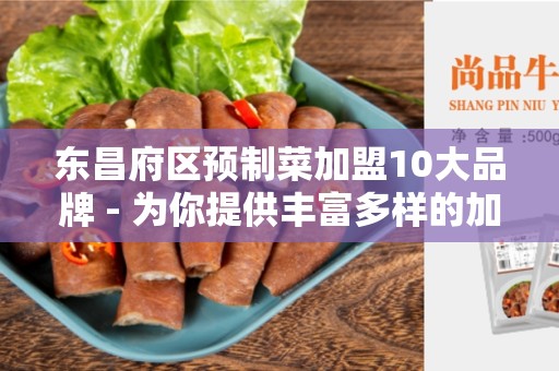 东昌府区预制菜加盟10大品牌 - 为你提供丰富多样的加盟选择