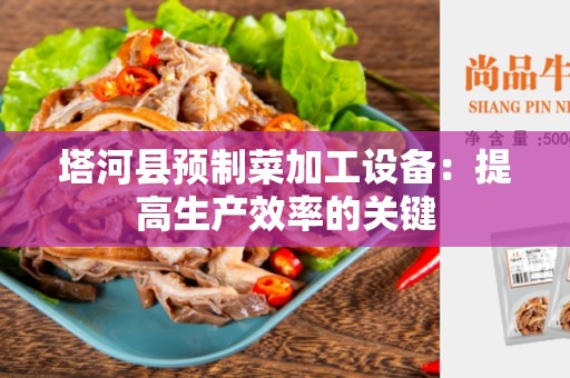 塔河县预制菜加工设备：提高生产效率的关键
