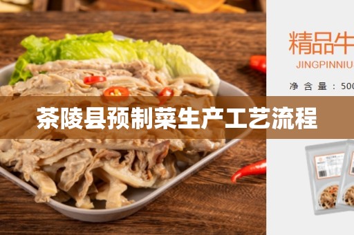 茶陵县预制菜生产工艺流程