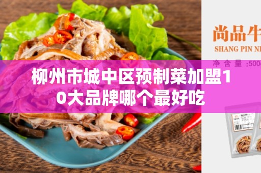 柳州市城中区预制菜加盟10大品牌哪个最好吃