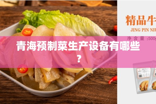 青海预制菜生产设备有哪些？
