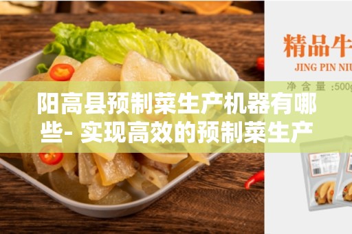 阳高县预制菜生产机器有哪些- 实现高效的预制菜生产
