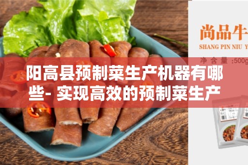 阳高县预制菜生产机器有哪些- 实现高效的预制菜生产