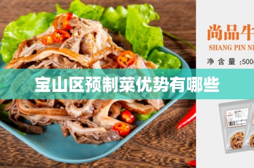 宝山区预制菜优势有哪些
