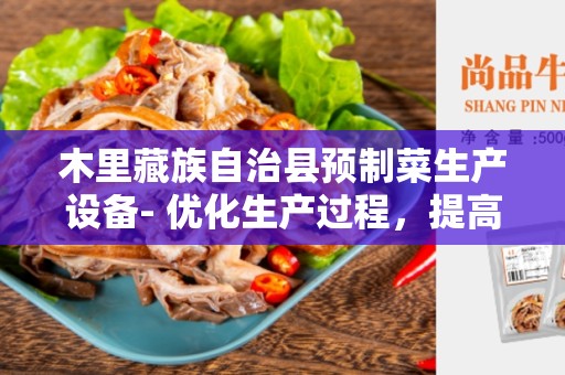 木里藏族自治县预制菜生产设备- 优化生产过程，提高效率