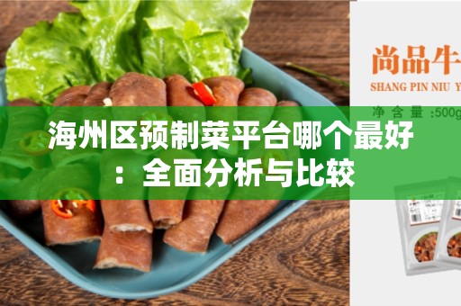 海州区预制菜平台哪个最好：全面分析与比较