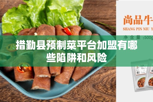 措勤县预制菜平台加盟有哪些陷阱和风险