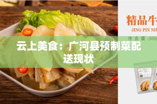 云上美食：广河县预制菜配送现状