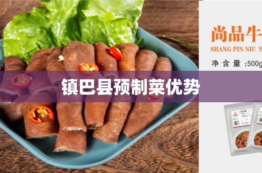 镇巴县预制菜优势